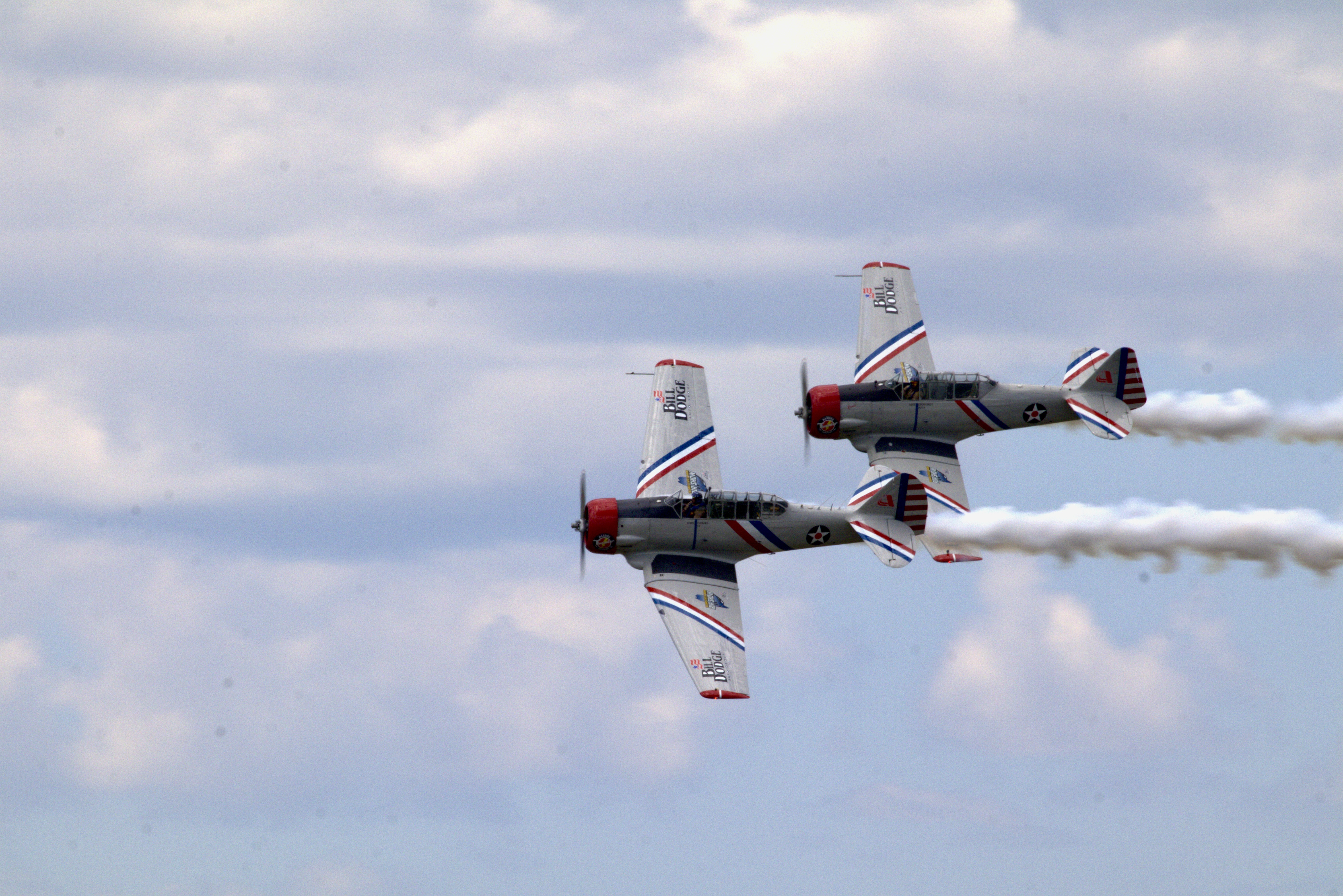 Warbird Thunder SNJ-2 & SNJ-3